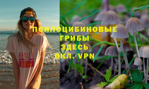 гашик Алзамай