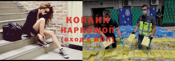 гашик Алзамай