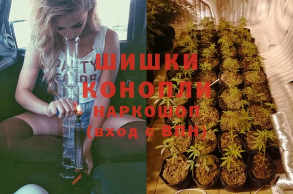 гашик Алзамай