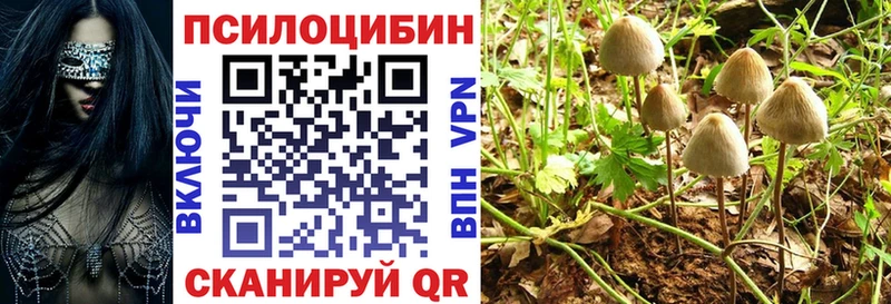 ссылка на мегу зеркало  Ардон  Галлюциногенные грибы Magic Shrooms 